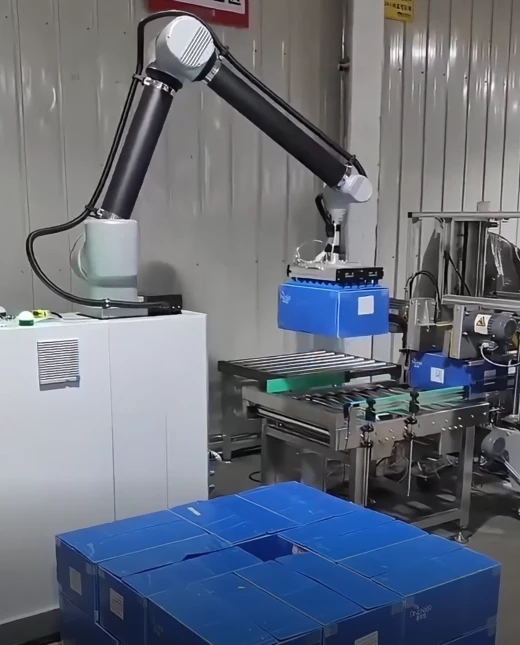 Warsonco Cobot Palletizer