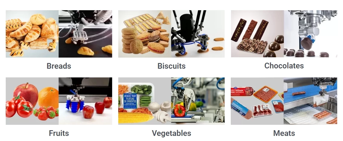 Delta Robot D Serial application