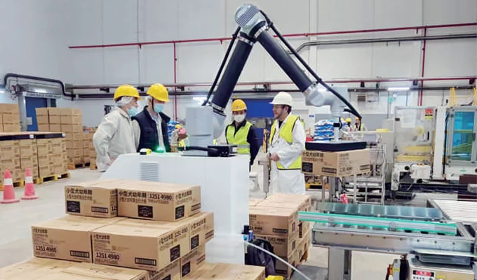 Let's start designing solutions to increase production and sales immediately and reduce labor costs